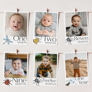 May include: A set of six photos of a baby boy at different ages, from one month to one year. Each photo is decorated with a different insect and the baby's age in months. The photos are hung on a string with clothespins.