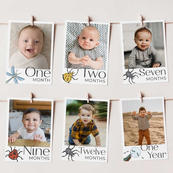 EDITABLE Insect Bug Party Photo Banner Template • Photo Pennant | First Year Photos • 5 Designs | Template | Corjl - Instant Download
