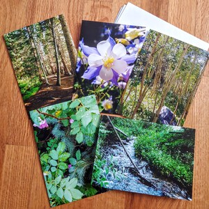 Cartões comemorativos com fotos de montanha - conjunto de 5 cartões com envelopes