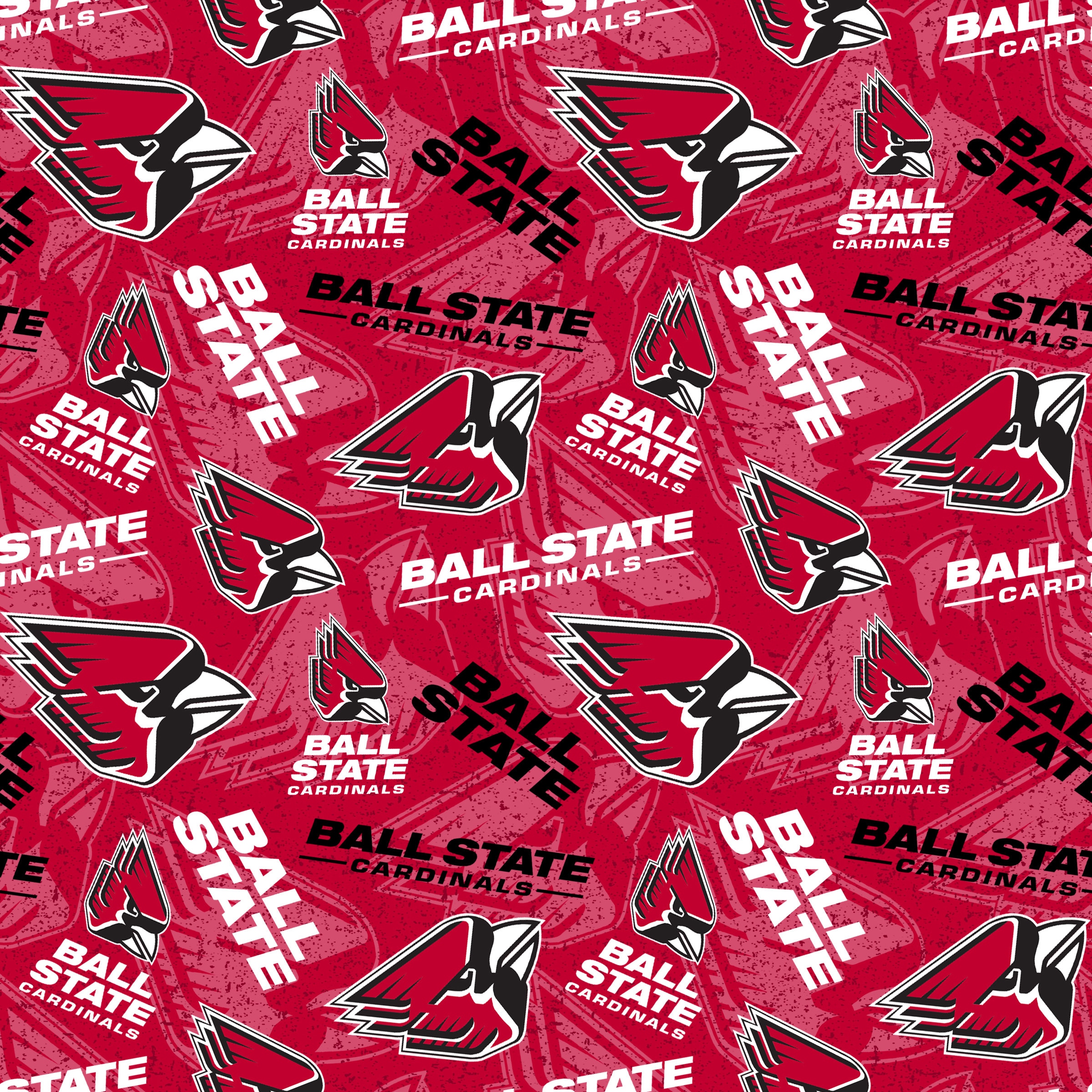 Ball State Cardinals Glow Pixel Fleece Blanket, Personalized