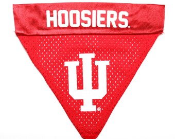 iu dog sweater
