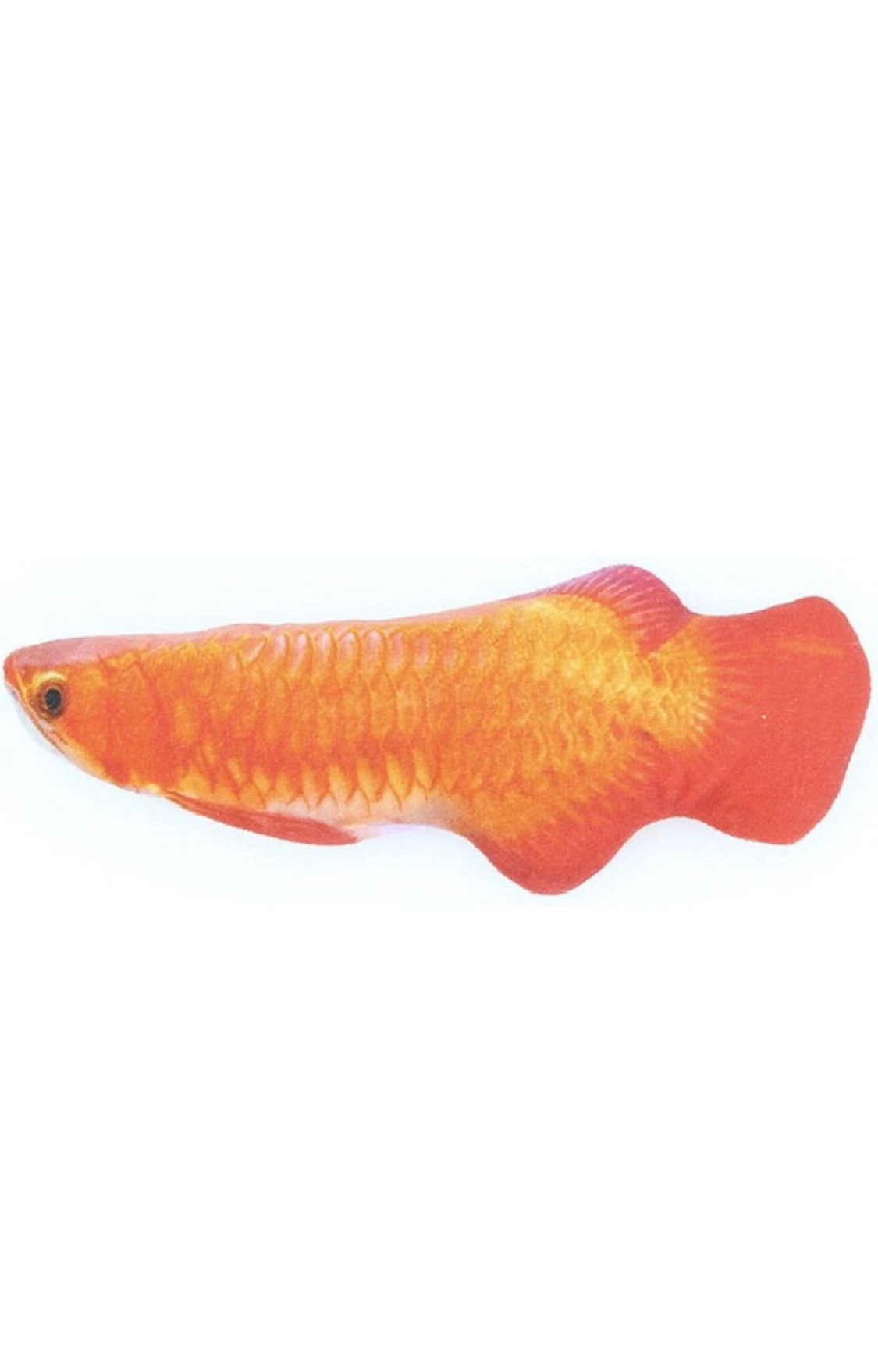 Poisson