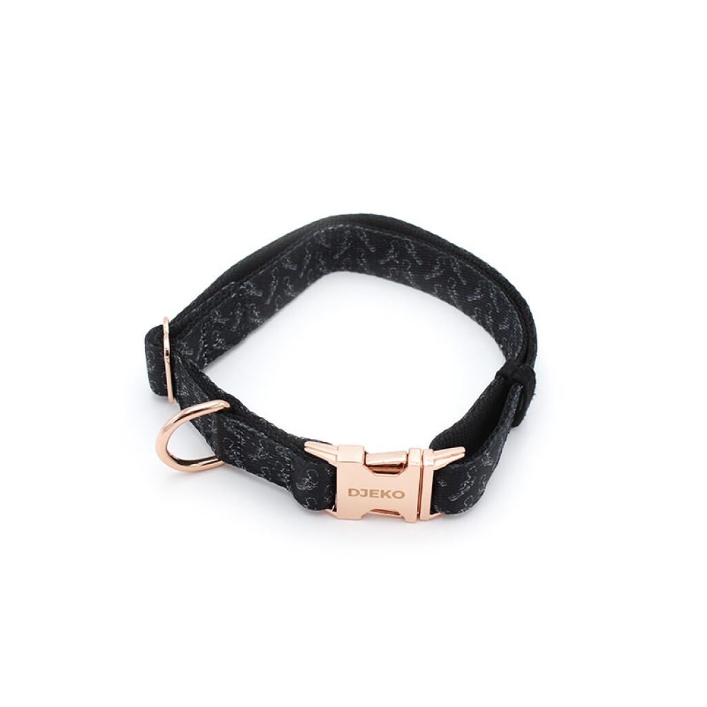 Ensemble Collier et Laisse Pistolet