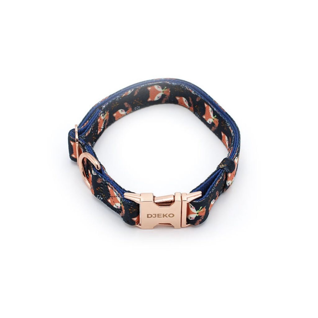 Ensemble Collier et Laisse Renard