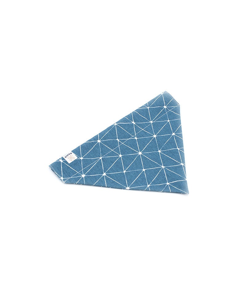 Bandana Blue