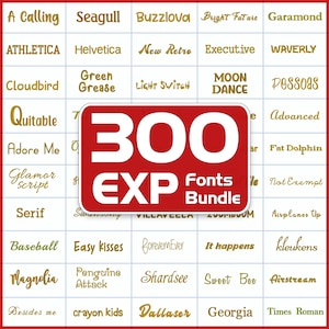 Font da ricamo EXP, set da 300 font, font per macchine da ricamo, alfabeto da ricamo, lettere, monogramma da ricamo con caratteri popolari