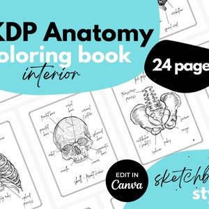 May include: Black and white anatomical illustrations for coloring. The illustrations include a skull, rib cage, and pelvis. The text "KDP Anatomy coloring book interior 24 pages" is visible in the image. The text "EDIT IN Canva sketchbook style" is also visible in the image.