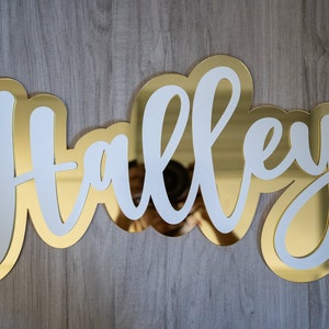 Double Layer mirrored Acrylic Name Sign, Custom Name Sign, Business, Outdoor, 3D Sign word sign 1