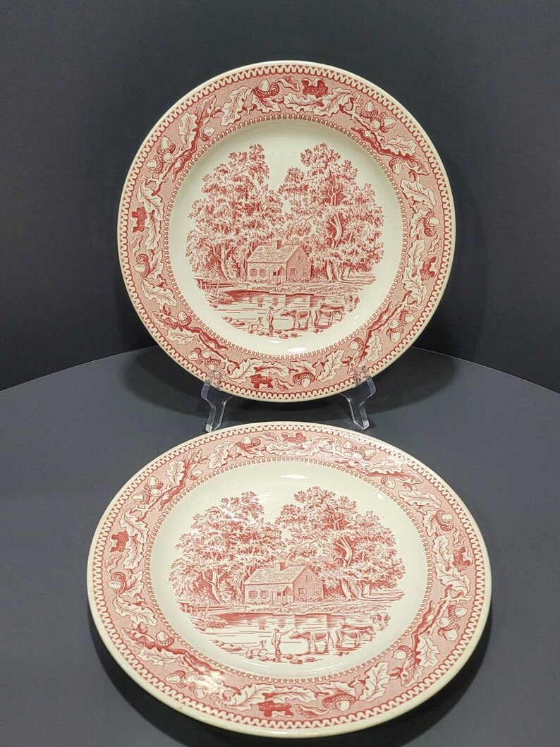 2 Vintage Pink MEMORY LANE 10 Dinner Plates Royal image 1