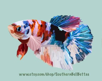 Betta Fish Drawing - Etsy