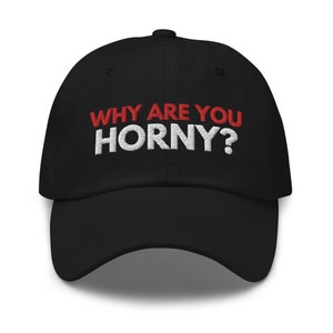 Why Are You Horny Hat, Embroidered dad hat, Funny joke meme hat, Funny gift for him, Funny gift for her, meme dad hat, Gag gifts For Men,