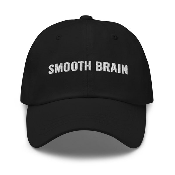 Smooth Brain Hat, Meme Gift, Dank Memes, Meme Hat, Funny Gift, Funny Hat, embroidered hat, baseball cap, baseball hat, dad hat, teen gift,