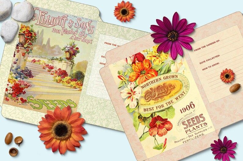 6 Printable Flower Seed Packets Seed Organizer Mixed Seed Etsy