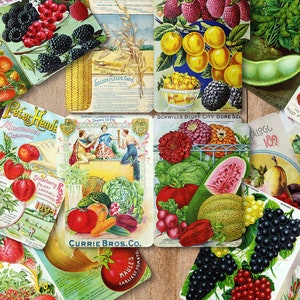 8 vintage frukt- och grönsaksmappar, utskrivbara dagboksavdelare, scrapbook-avdelare, antikt bondgård, trädgårds-ephemera, digital nedladdning, gör-det-själv