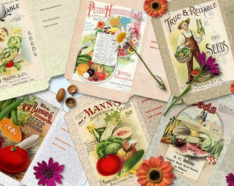 6 mixed vegetable seed packets, vintage seed packets, digital collage sheet, instant download, garden vegetables, botanical ephemera,