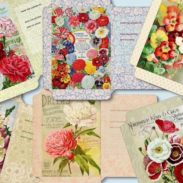 6 vintage flower seed packets, printable botanical seed packages, digital download, antique garden ephemera, DIY, antique garden flowers