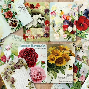 8 vintage botanical folders, printable diary dividers, scrapbook dividers, botanical ephemera, antique garden, Instant download, DIY