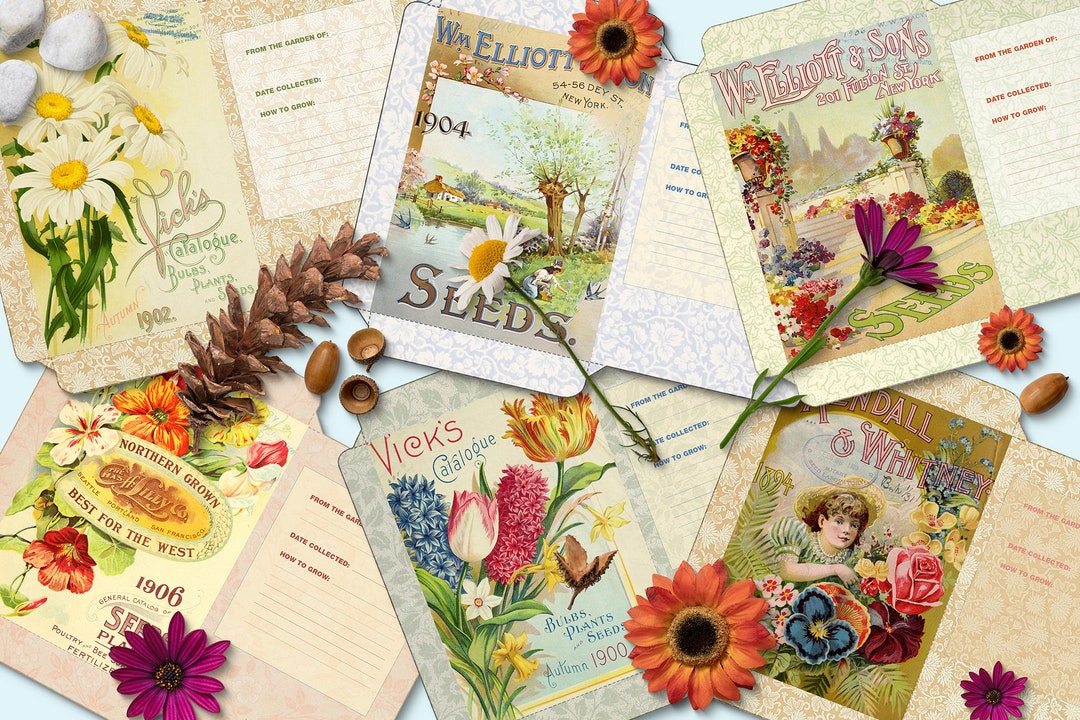 6 Printable Flower Seed Packets, Seed Organizer, Mixed Seed Packets ...