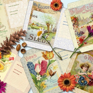 6 druckbare Blumensamenpäckchen, Samenorganizer, gemischte Samenpäckchen, botanische Ephemera, digitaler Download, Vintage Samenpäckchen, DIY,