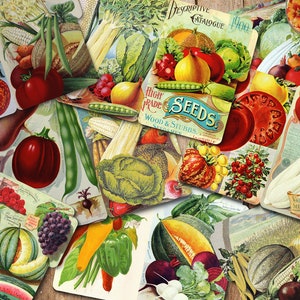 8 pastas vintage para impressão, vegetais de jardim, coisas efêmeras de jardim, divisórias de diário, faça você mesmo, download instantâneo, divisórias de álbum de recortes,