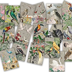 cartes de journal vintage avec oiseaux et plantes, ATC, Imprimable, Téléchargement numérique, Feuille de collage, oiseaux, plantes, journal indésirable, Ephemera, scrapbook