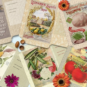 6 pacotes de sementes de vegetais para impressão, envelopes de sementes vintage, botânicas, primavera, sementes de jardim, download instantâneo, coisas efêmeras de jardim antigo,