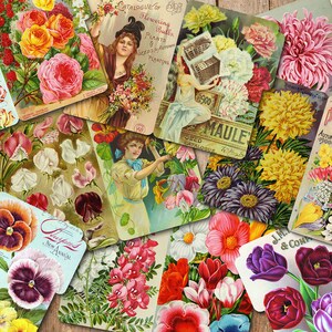 May include: Vintage seed packets featuring colorful illustrations of various flowers, including roses, pansies, and tulips. The packets have text that includes the names of the flowers and the words "Seed Annual" and "New Floral Guide".