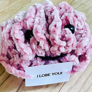 May include: A plush, pink brain-shaped toy with black button eyes and a stitched smile. The toy holds a white card that reads "I LOBE YOU!" in black text. The toy is made of a soft, textured material.