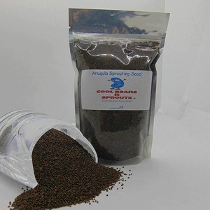May include: A clear plastic bag filled with brown arugula sprouting seeds. The bag has a label that says "Arugula Sprouting Seed" and "Cool Beans n Sprouts". The bag is sitting on a white surface. A small amount of seeds has spilled out of the bag.