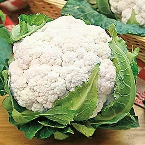 May include: A large, white cauliflower with green leaves. The cauliflower is fresh and has a white, slightly off-white color.