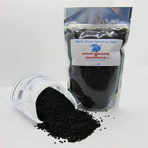 May include: A clear plastic bag filled with black garlic chives sprouting seed. The bag has a label that reads "Garlic Chives Sprouting Seed" and "Cool Beans n Sprouts".
