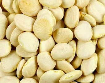 May include: A close-up shot of a pile of large, off-white beans. The beans are oval-shaped and have a slightly textured surface. The beans are tightly packed together, filling the frame.