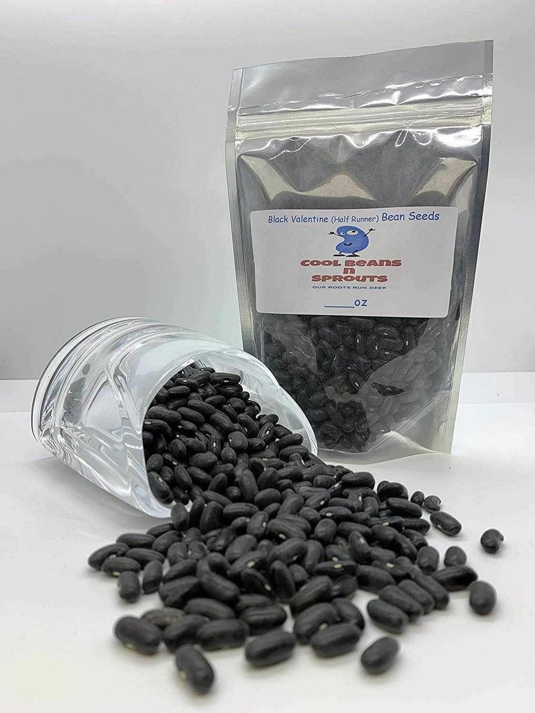 Bean Black Valentine Bush Bean Seeds ,cool BEANS N Sprouts Brand. Home
