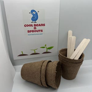 May include: Three brown biodegradable pots for planting, with a stack of three pots on the left and a single pot on the right.  A stack of wooden sticks is inside the pot on the right.  A printed card with a cartoon bean character and the text "Cool Beans n Sprouts Our Roots Run Deep" is in the background.