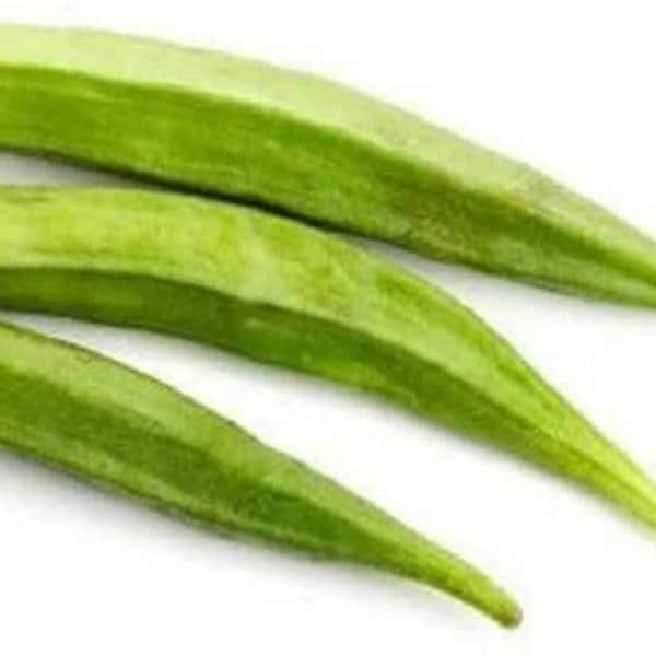 Okra Seeds , Perkins Long Pod Okra Seeds, "COOL BEANS N SPROUTS" Brand. Heirloo