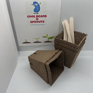 May include: A set of six brown biodegradable seed starting pots with a stack of wooden plant markers. The pots are square and have a pointed bottom. The plant markers are flat and rectangular. The image also includes a card with the text "Cool Beans n Sprouts Our Roots Run Deep" and a cartoon bean with a face.