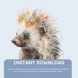 African porcupine Watercolor,Digital Downloads, African porcupine Clipart, PNG,EPSand Vector,wall art, prints,Sublimation