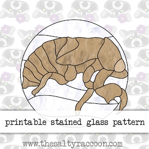 May include: Printable stained glass pattern of a cicada in a circle. The cicada is brown and has detailed lines and shading. The background is white with a light blue marbled pattern.
