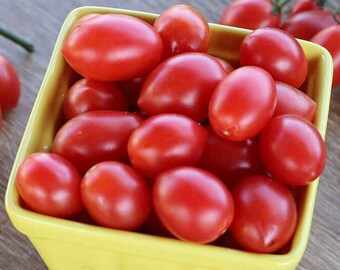 Organic Pink Champagne Tomato Seeds - Grape Tomato Variety 2025