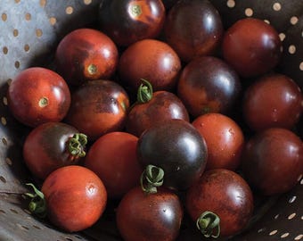 Organic Indigo Cherry Drop Tomato Seeds - 2025 Vegetable Garden