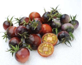 Organic Indigo Blue Berries Tomato Seeds 2026