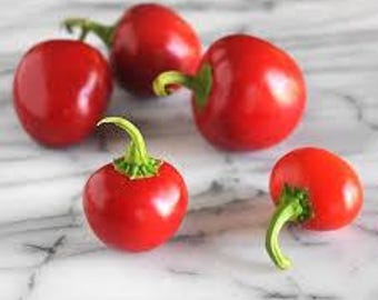 Organic Large Red Hot Cherry Pepper Heirloom Seeds 2025