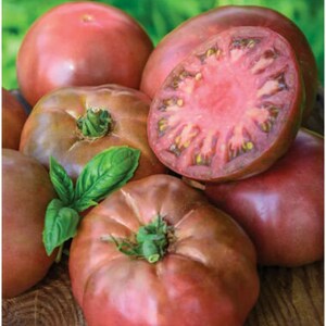 Organic Black Krim Beefsteak Tomato Seeds 2023