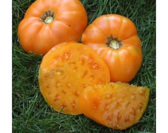 Organic Amana Orange Heirloom Beefsteak Tomato 2026