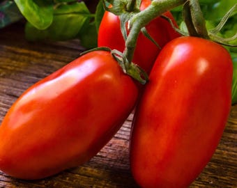 Organic San Marzano Paste Tomato Seeds 2026