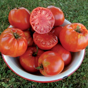 ORGANIC Italian Heirloom Tomato Seeds 2025 HEIRLOOM Vegetable Garden
