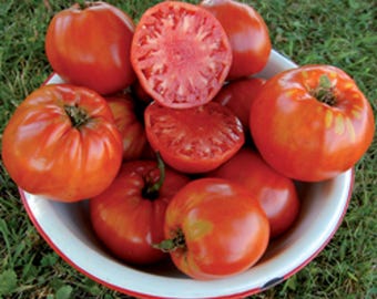 ORGANIC Italian Heirloom Tomato Seeds 2025 HEIRLOOM Vegetable Garden