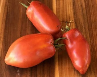Organic Opalka Paste Tomato Seeds Heirloom 2025