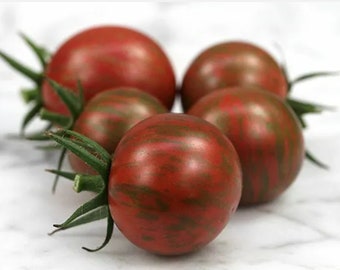 ORGANIC Purple Bumblebee Tomato Seeds 2026