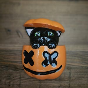 Könnte beinhalten: Eine schwarze Katzenfigur, die aus einem orangefarbenen Kürbis mit schwarzen X als Augen schaut. Der Kürbis hat ein schwarzes Lächeln und ein schwarzes Schmetterlingsdesign auf jeder Seite.